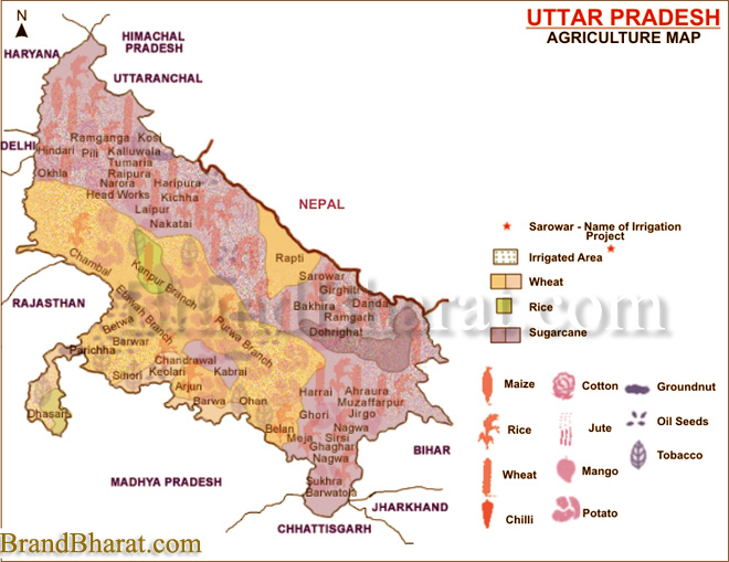 Uttar Pradesh Agriculture Map