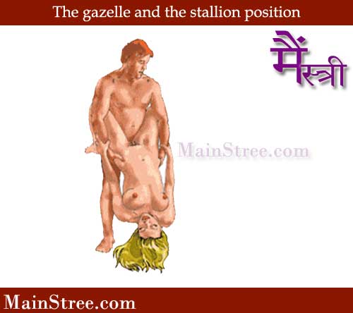 gazelle and the stallion sex position