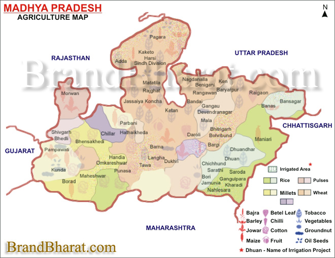 Agriculture Map Madhya Pradesh
