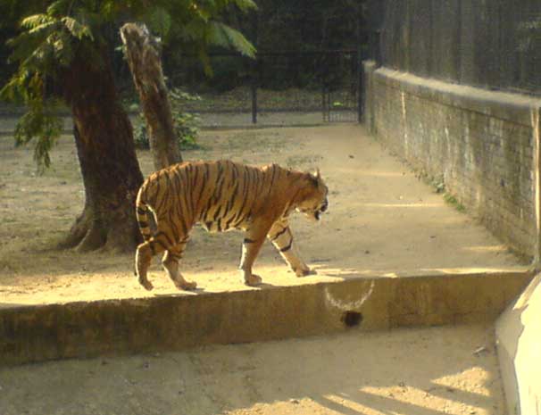 Patna Zoo