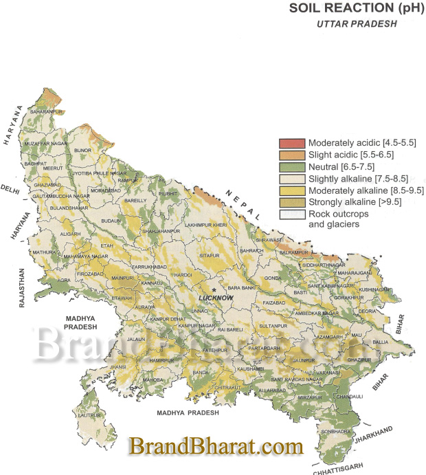 Uttar Pradesh soil Map